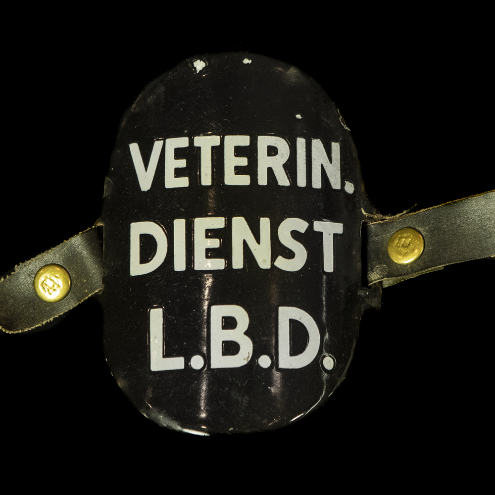 Emaille Armband VETERIN. DIENST L.B.D.