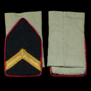 Kraagpat Artillerie