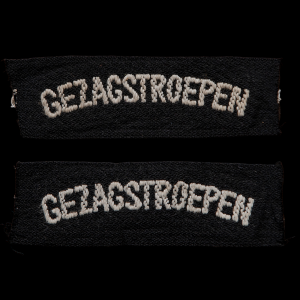 Gezagstroepen