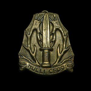 Kraagembleem Regiment Stoottroepen