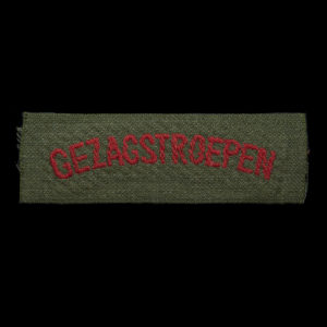 Gezagstroepen