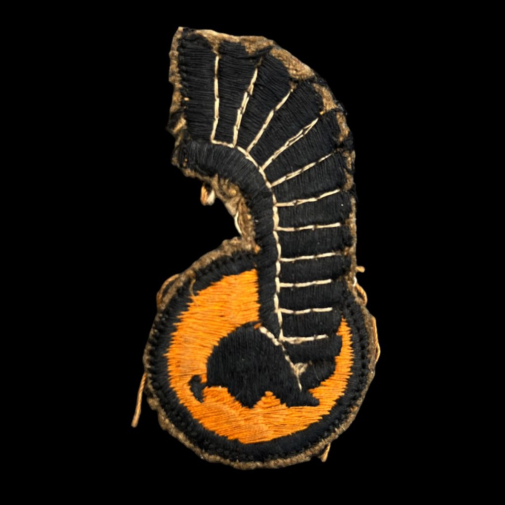 1st Armoured Division patch Polen