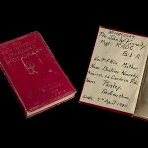The New Improved Standard Dictionary John W. Kennedy