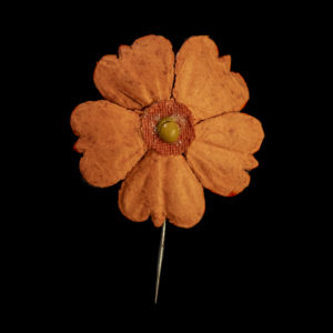 Bevrijdingsspeldje