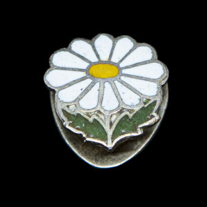 Knoopsgatspeld Prinses Margrietfonds