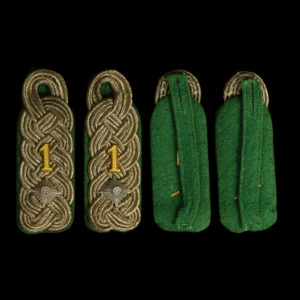 Gebirgsjäger Oberstleutnant Regiment 1