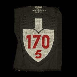Reichsarbeitsdienst Arm-embleem 170/5 Offizier
