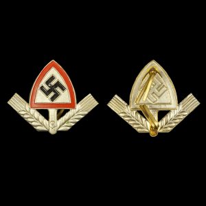 Reichsarbeitsdienst Offizier Capbadge 2