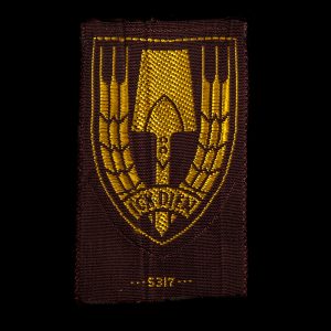 Nederlandsche Arbeidsdienst Capbadge